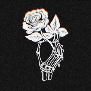 Meet your Posher, Shay